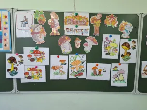 Всемирный день грибника